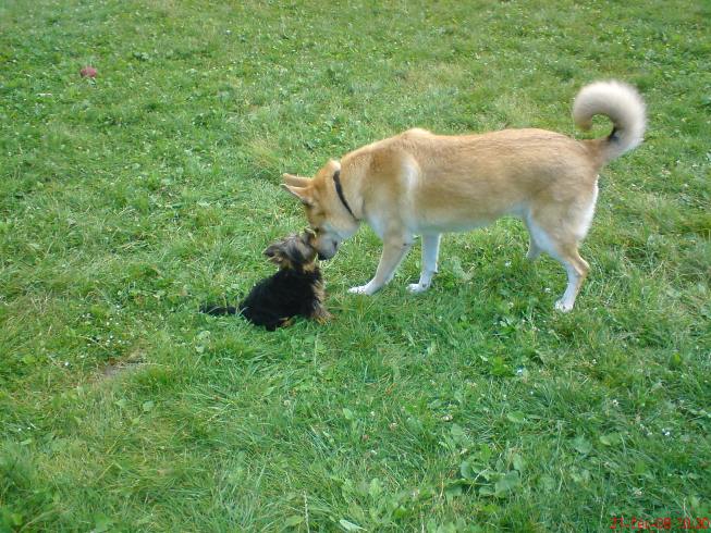 DSC00079.JPG